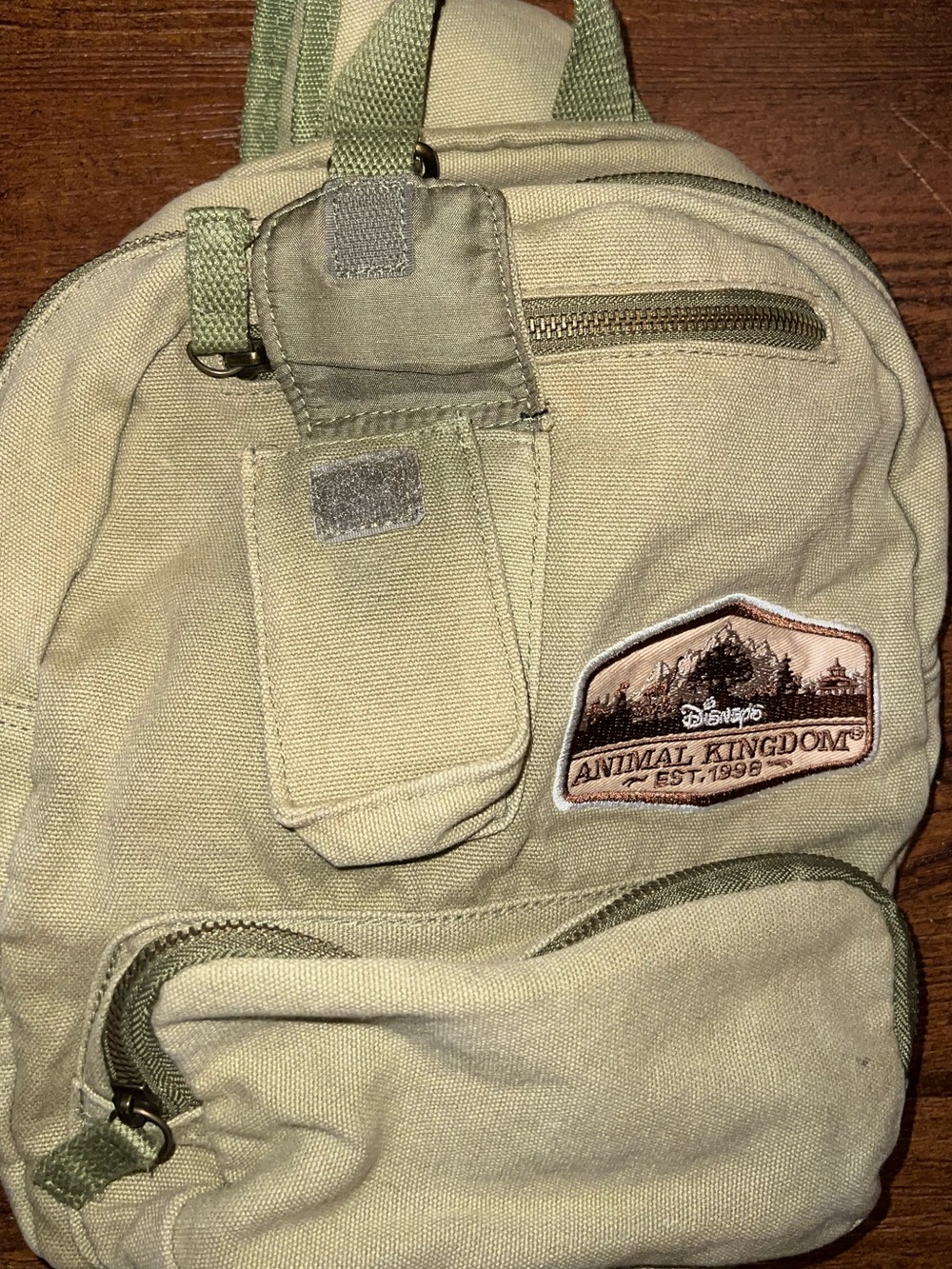 Disney Animal Kingdom Wilderness Explorer Crossbody Khaki Canvas Messenger Bag - Picture 3 of 9